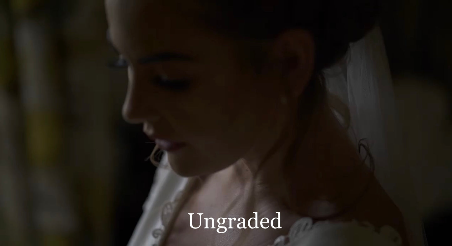 The 'WingLUT' / My Personal Colour Grading LUT